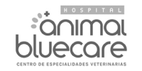 Logotipo del cliente de Haya Capital Animal Bluecare